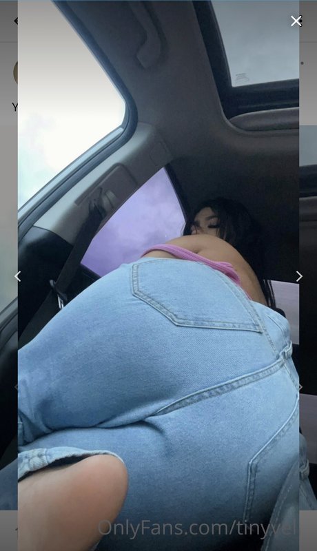 Tinyvel 美しい女優 写真