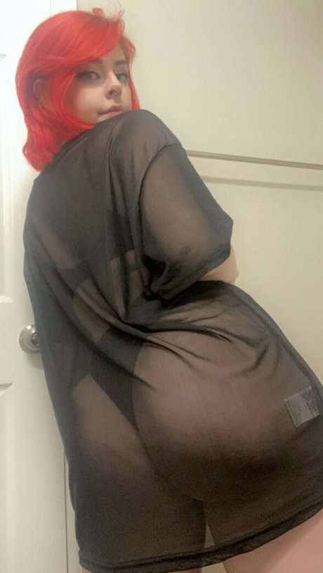 Catssnap ホットスター アーカイブ