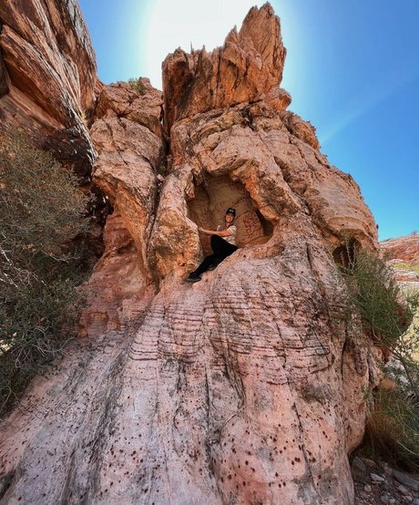 フェイシャルオンリーファンズ ホットxxx 画像