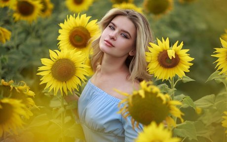 Iris A かわいいスター 画像