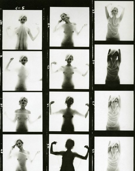 大きなお尻の黒人オンリーファンズ セックス 写真