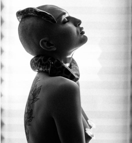 Pelageialynx ヌードスター アーカイブ