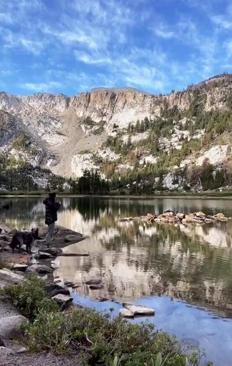 Jenners トップスター 画像