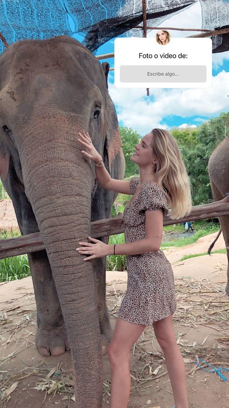 Inna Moll 独占モデル 写真