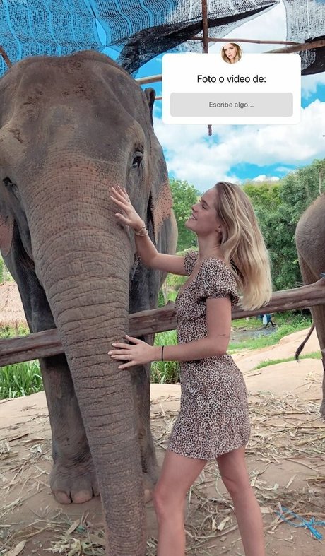 Inna Moll エロティックなポルノスター 写真