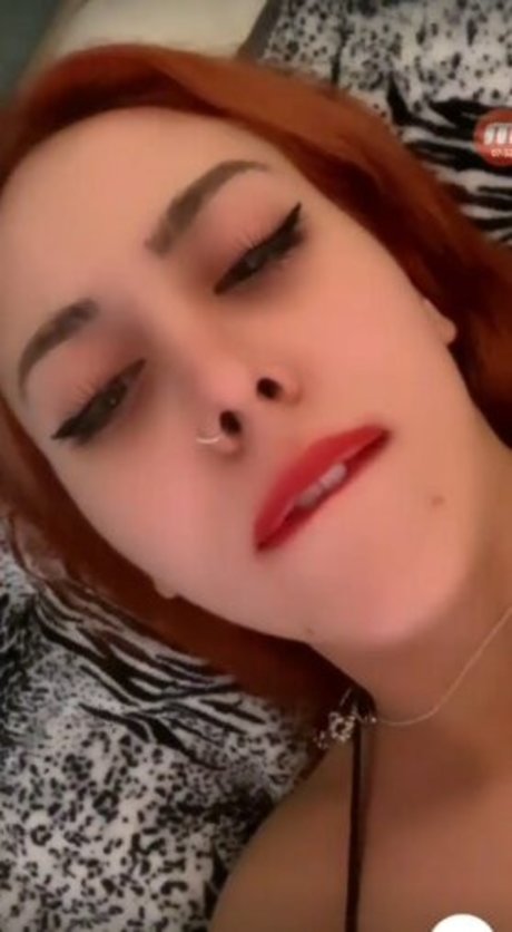 Semfunny 高品質スター 写真