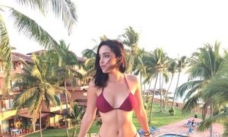 Felitrigo ポルノスター 写真