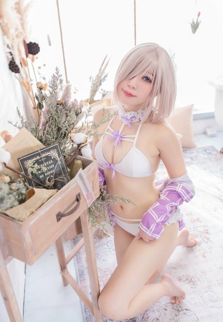 Akicoser 高品質スター アーカイブ