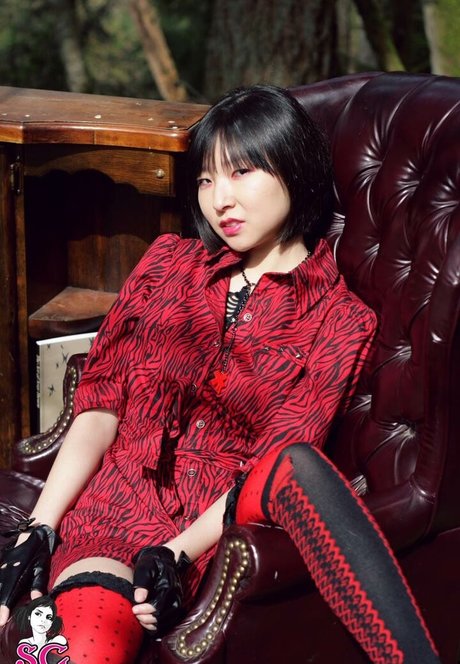 ArsenicLulu 素敵なスター 写真