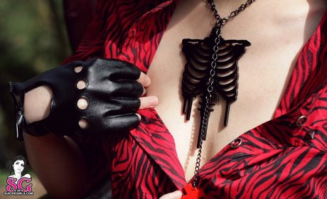 ArsenicLulu トップスター 画像