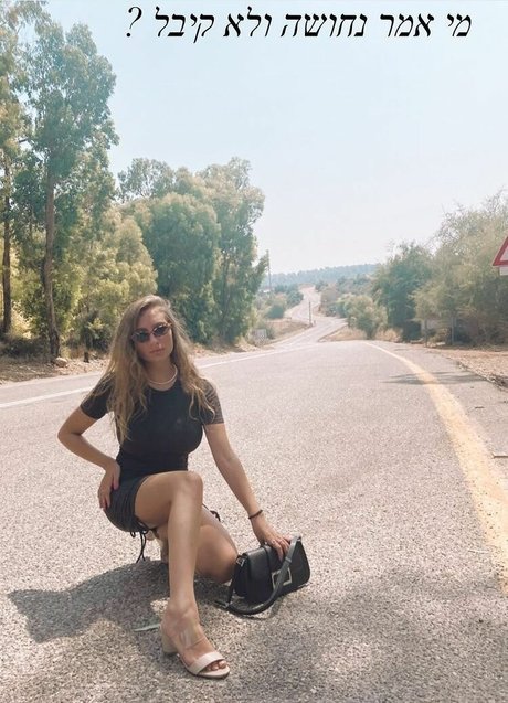 オールドオンリーファン パーフェクト アーカイブ