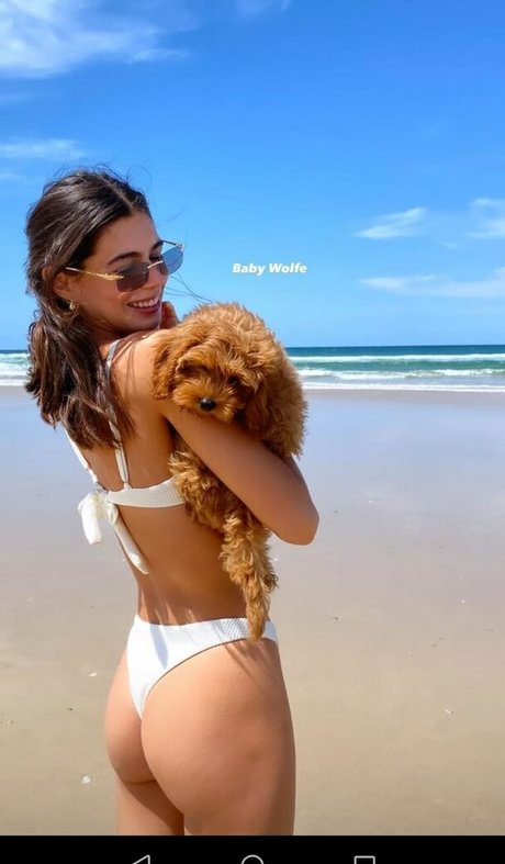 Ashton Wood ホットなスター 画像