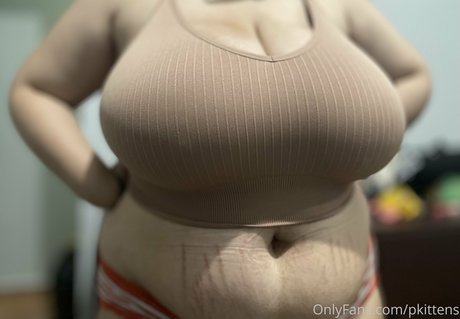 pkittens 美しいスター 写真