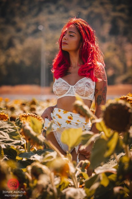 Queen Red スター 画像