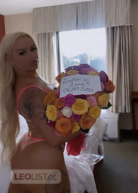 Lenabrinks HDスター ギャラリー