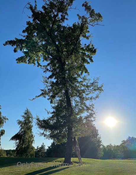 my soul anda exclusive 完璧なスター ギャラリー