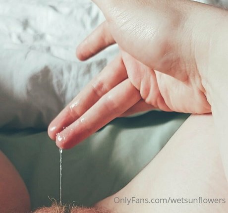 wetsunflowers ポルノスター HD 写真