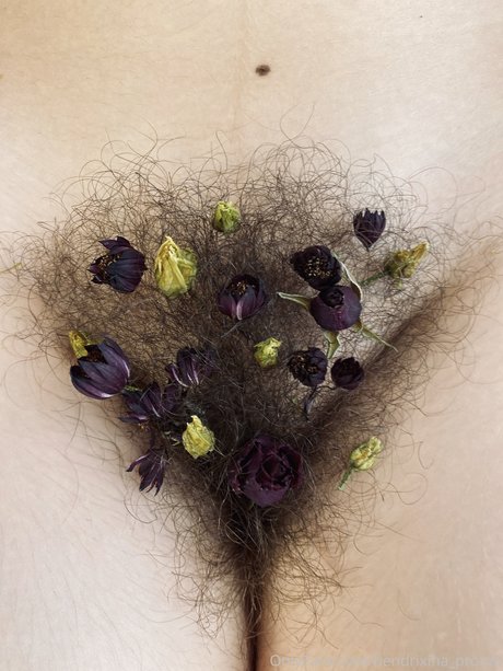 Hendrixina 完璧なスター ギャラリー