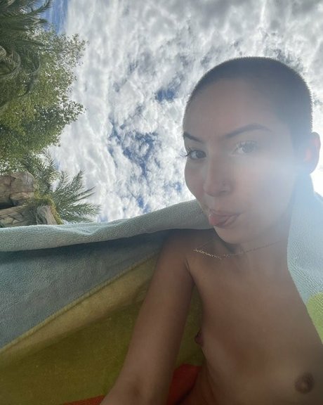 lego lass 高品質のスター 写真