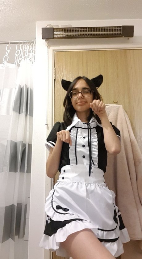 peachaven アートスター 写真