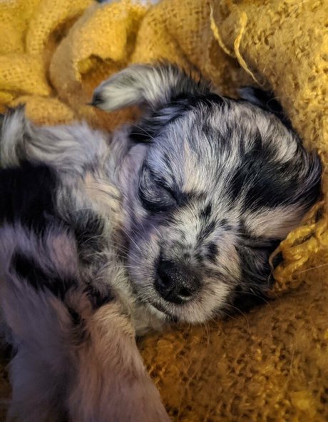 ニューハーフが男とセックスするオンリーファンズ エロチック 画像