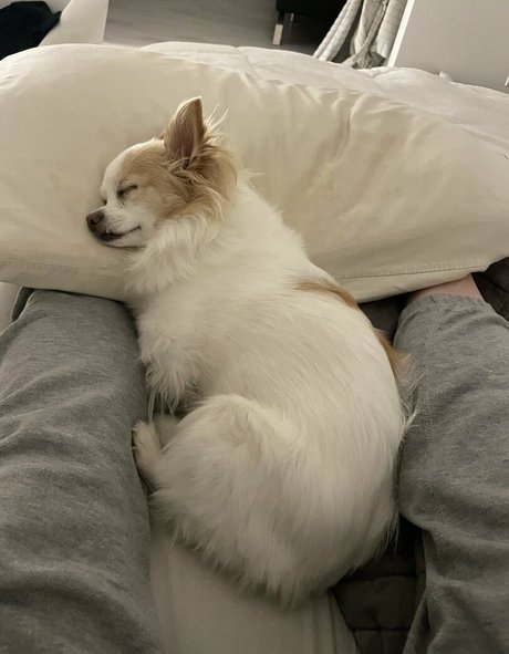 赤毛のセックスオンリーファンズ 無料エロ 写真