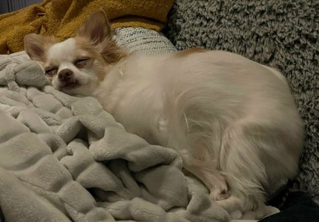 曲線美のブロンドオンリーファンズ 無料xxx アーカイブ