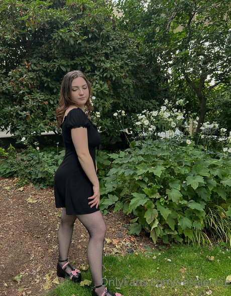 40歳のオンリーファンズ パーフェクト アーカイブ