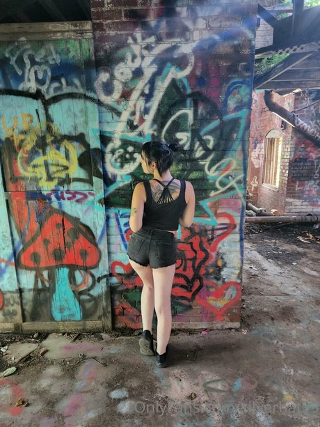 Silverbat スター 画像