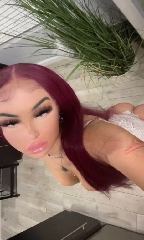 Goyard Wallet 美しいモデル 写真