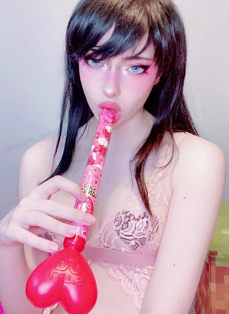 boople snoot アートスター 写真