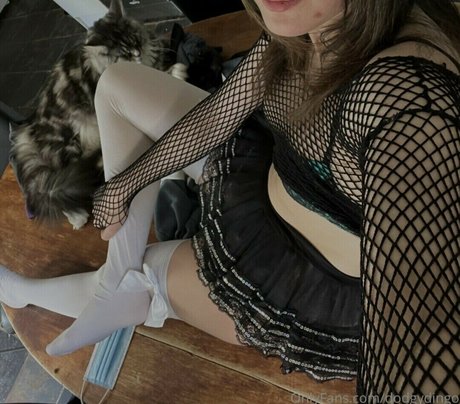 Sushicami モデル 画像