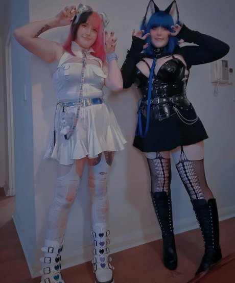 WillOWisps 最高のスター 画像