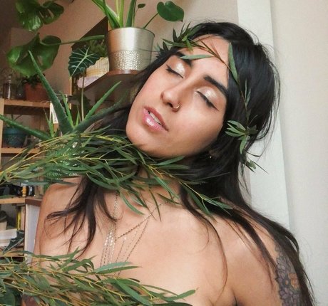 アマチュアセックスオンリーファンズ 美しいポルノ ギャラリー