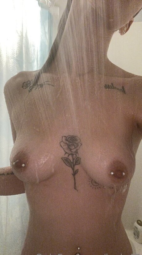 lealy47 トップスター ギャラリー