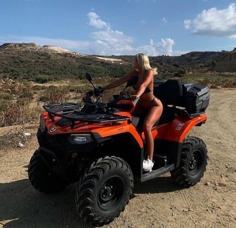 Cat Dart アートスター ギャラリー