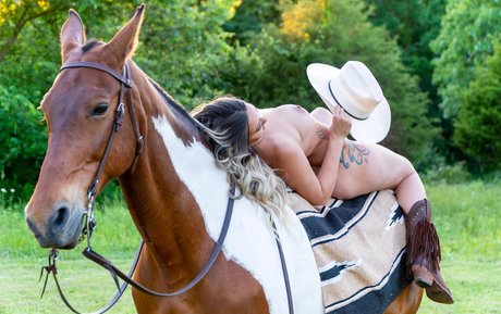 moderndayhousewife モデル アーカイブ