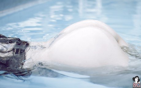 Fernanda Mercury 無料スター 写真