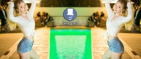 Tiny Miny Mo HDモデル 画像