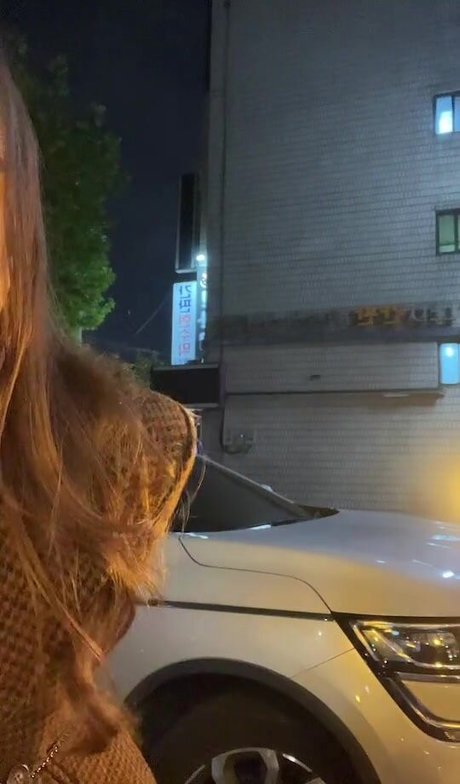 Dasha Tarab アートスター 画像