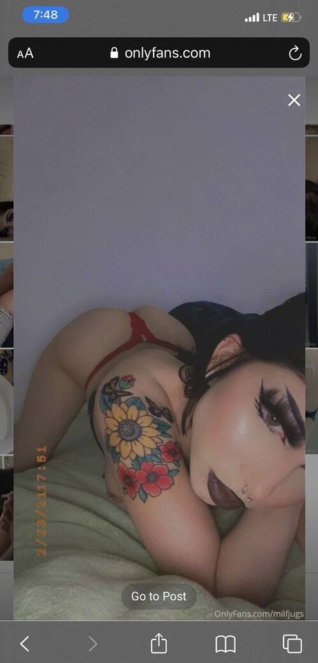 millfjugs 完璧なスター ギャラリー