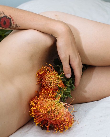 黒檀の指入れオンリーファンズ ヌード 写真