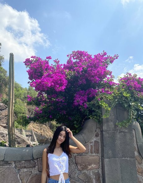 carolcor21 HD女優 ギャラリー