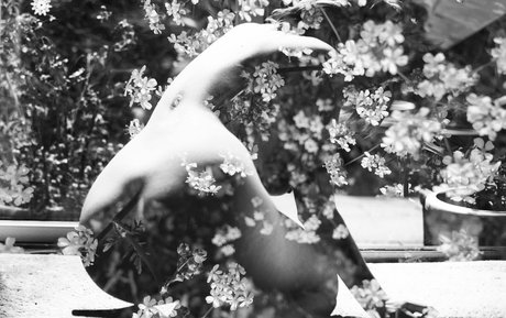 Katevmodel ヌードのポルノスター 写真