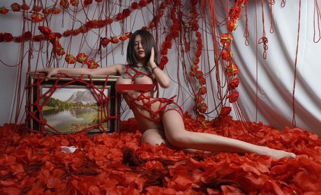 DeerWhite_ 高品質のポルノスター アーカイブ