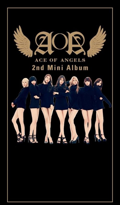 AOA Team 限定モデル 画像