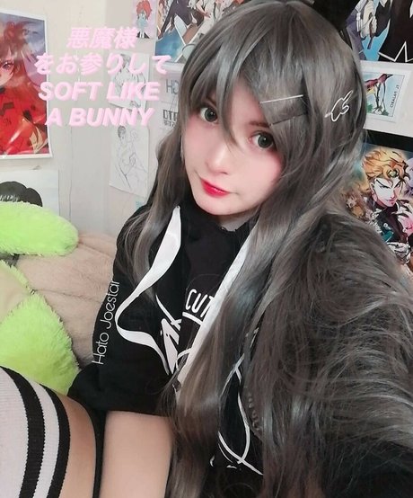 Hato Joestar スター 画像