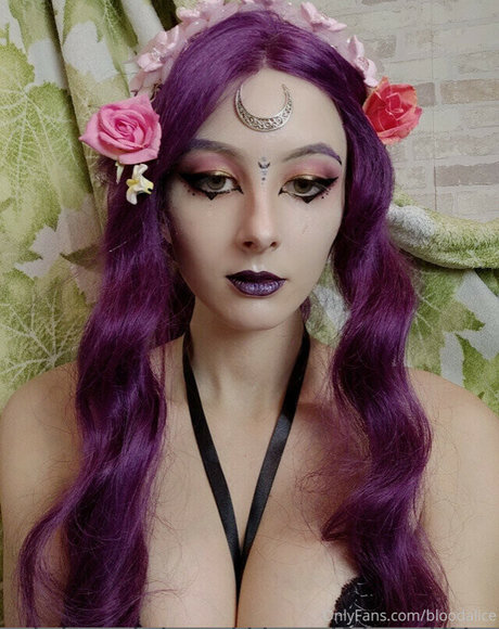 Blood alice 素敵なスター 写真