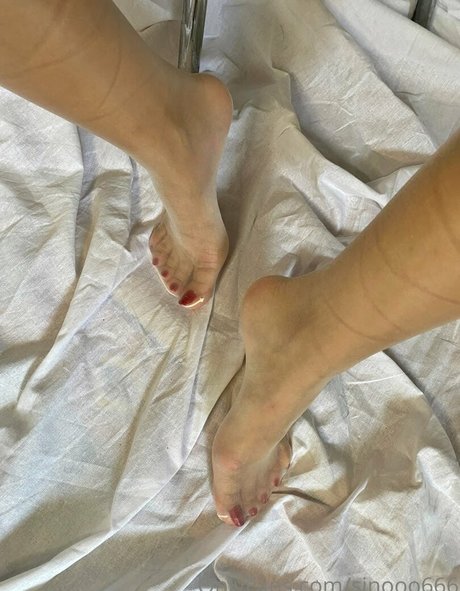 sinooo666 ポルノスター パーフェクト 写真