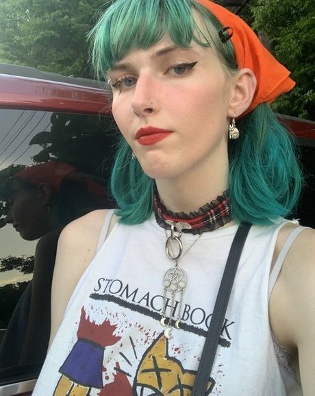 Starlite Anise 美しいスター 写真